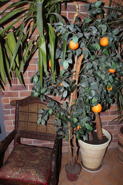 Nidos Apartamentai Bagian luar foto